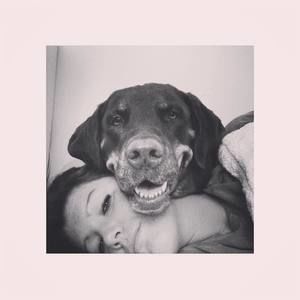 Meet your Posher, Maggie